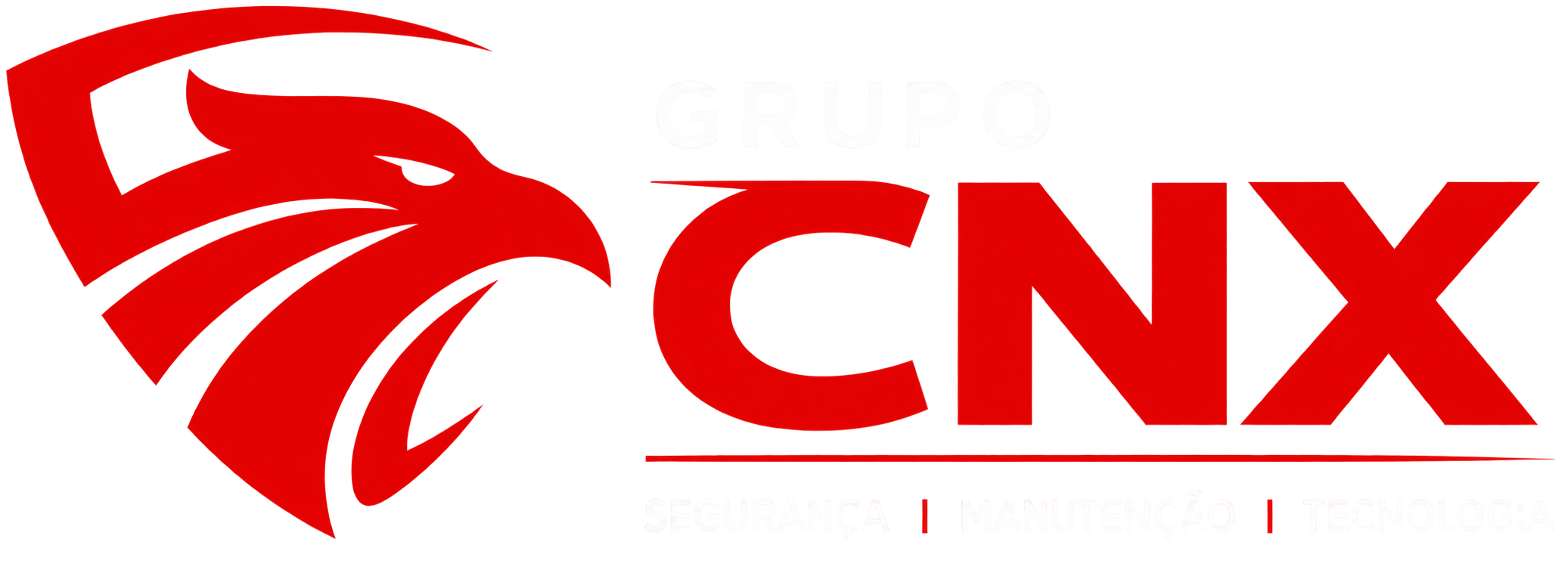 Grupo CNX